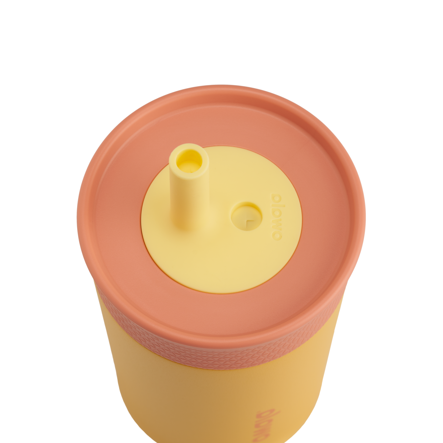 Kids’ Tumbler Picnic