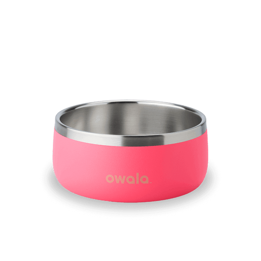 Pet Bowl Hyper Flamingo